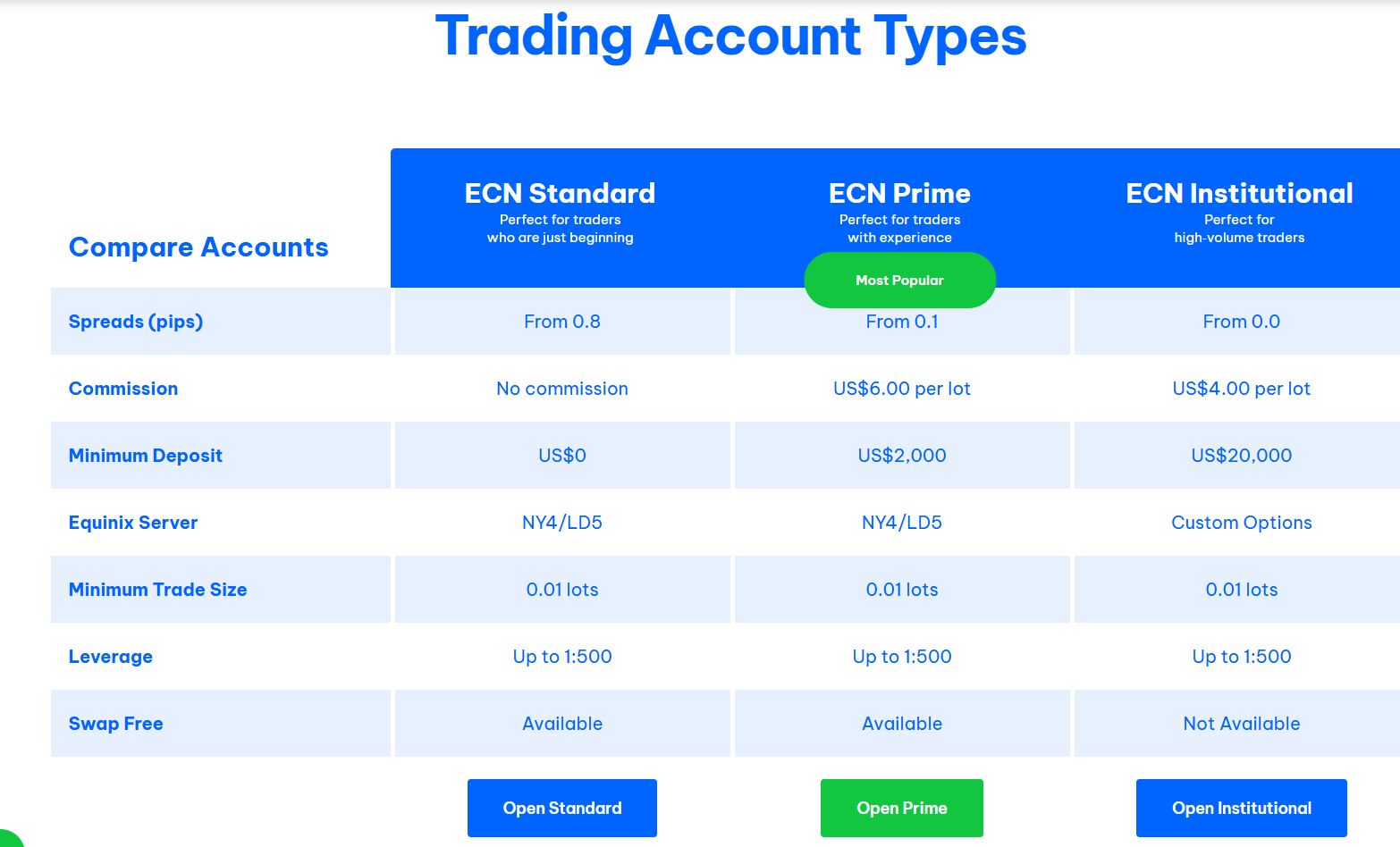 BlackBull review image